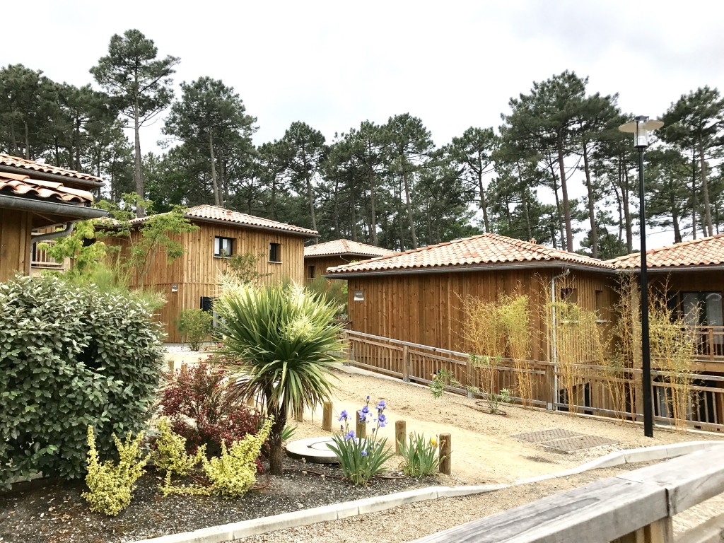 Le Domaine du Ferret - Camille et les garçons